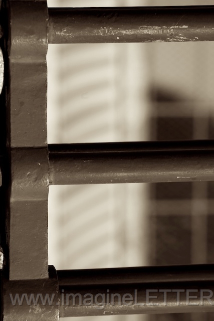Wall_Art_Alphabet_Photography_Art_ 563.jpg